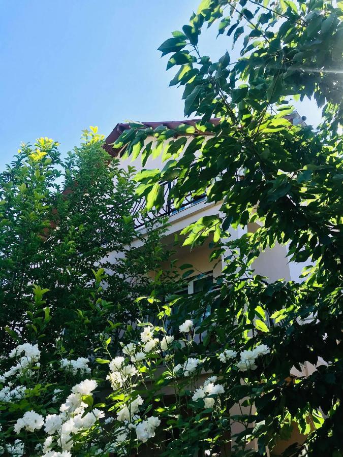 Vila A&S Hotel Костинещи Екстериор снимка